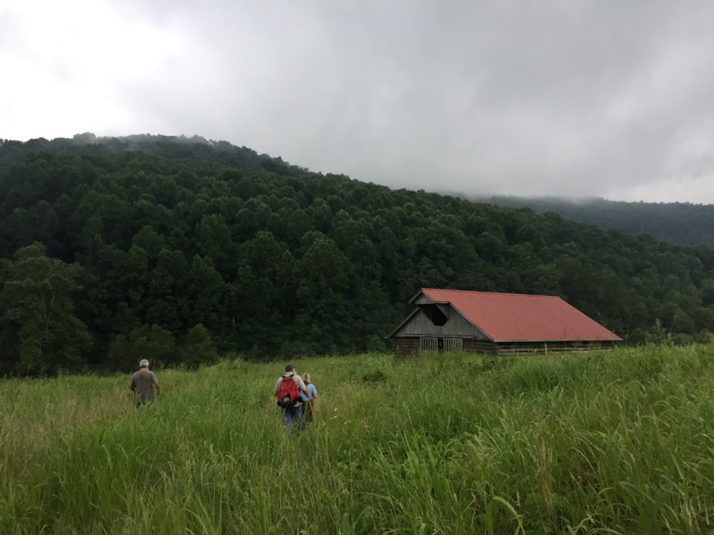 Neighbors Back Home On Short Mountain WPLN News