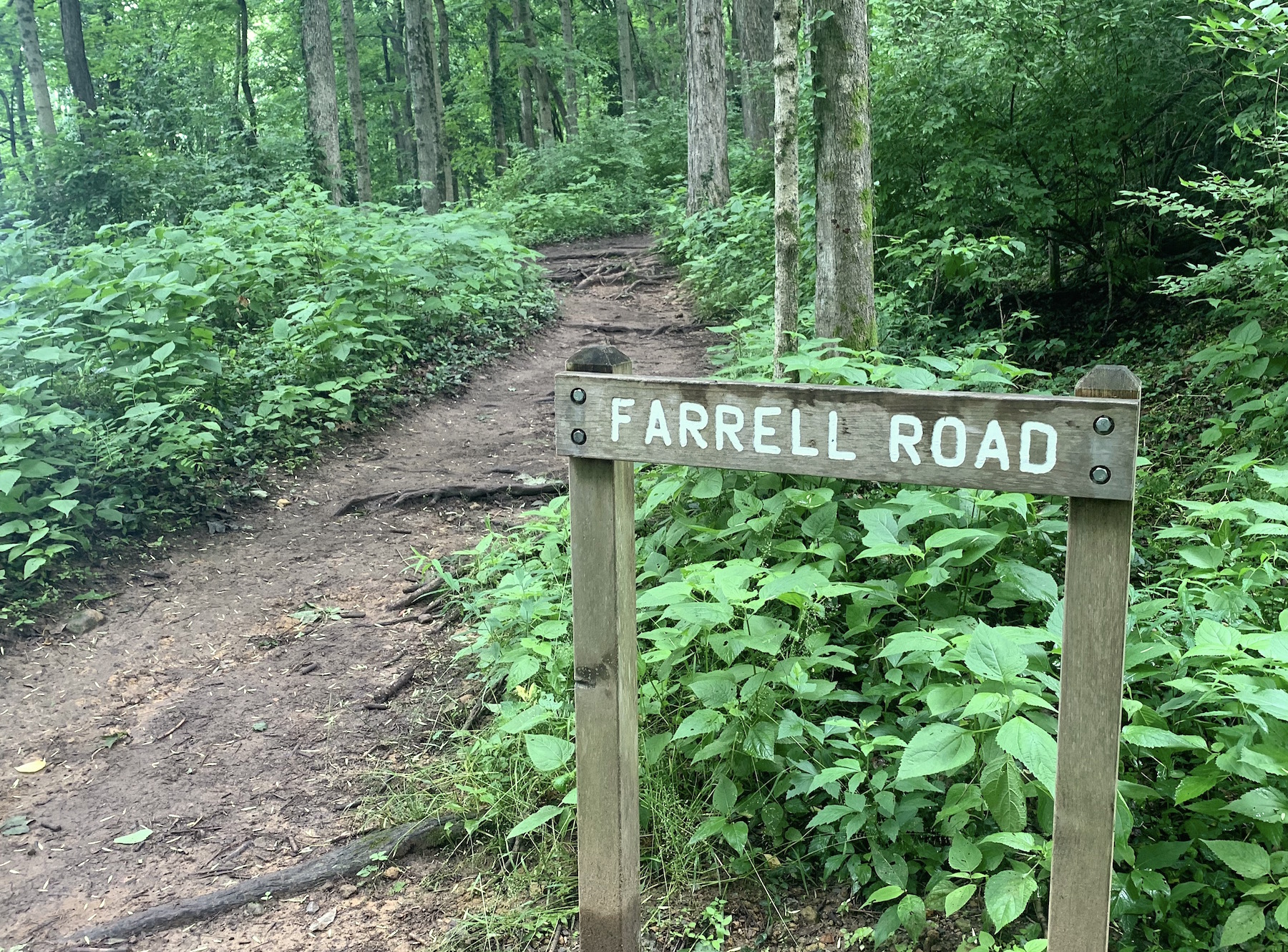 Curious Nashville: Why There's A Road Sign In The Middle Of Percy