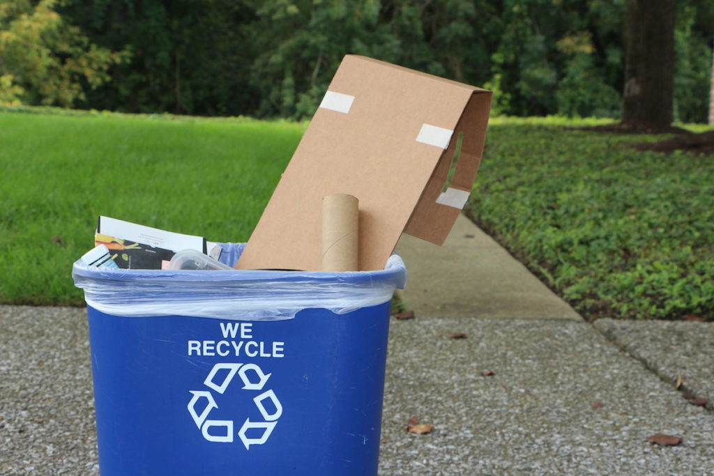 Recycling Bin - What Goes in My Bin?