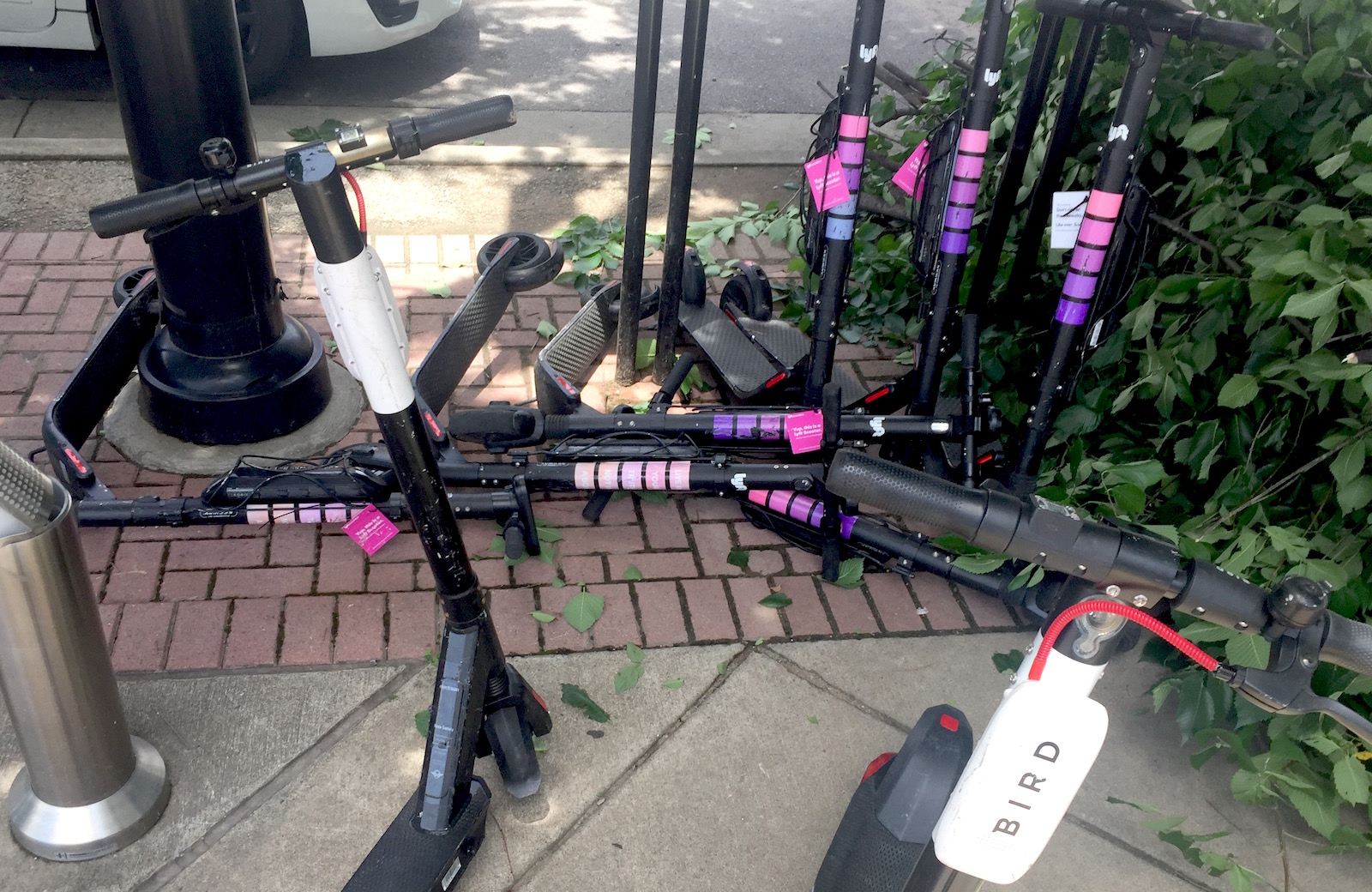 Scooters Will Stay In Nashville Under Tighter Rules And Fleet Caps