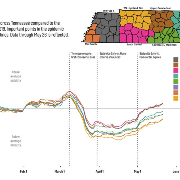 Tennessee reduced pandemic travel