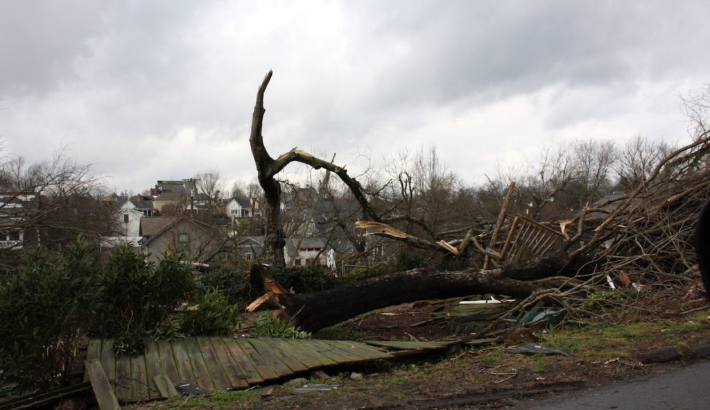 Nashville tornado tree damage