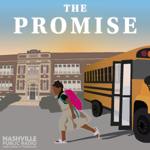 The Promise Logo