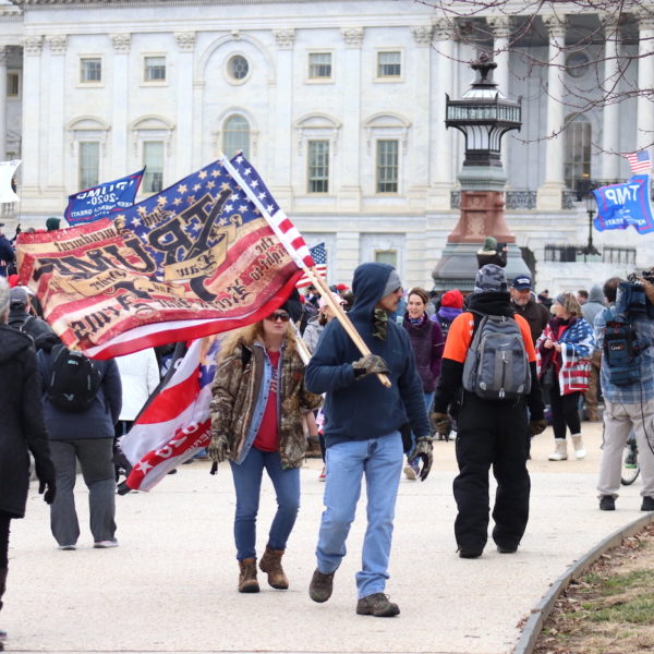 capitol demonstration