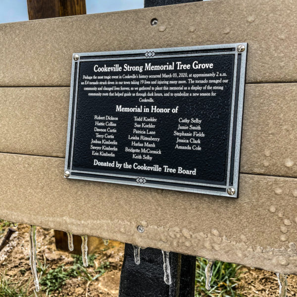 tornado memorial grove