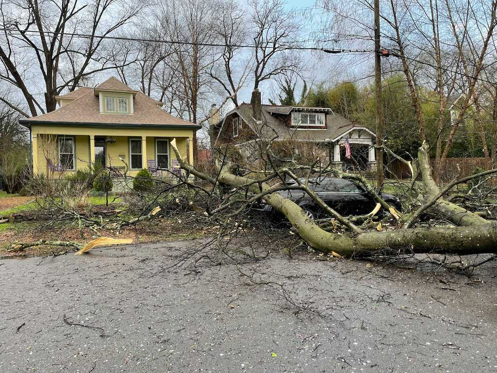 Car damaged by downed tree