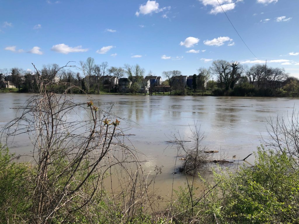 A swollen Cumberland River in Pennington Bend