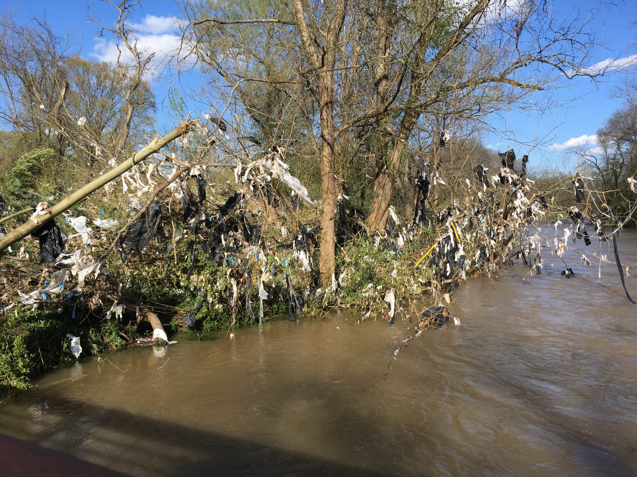 Nashville Seeking Source Of Plastic That Has Littered Mill Creek