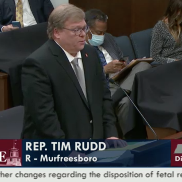 State Rep. Tim Rudd presents the legislation in a committee meeting.