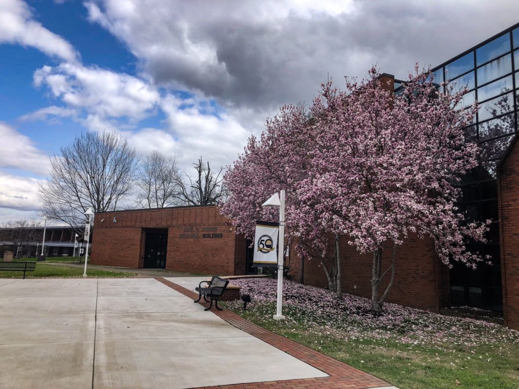 A tree blooms on the campus of Nashville State Community College in March 2021.