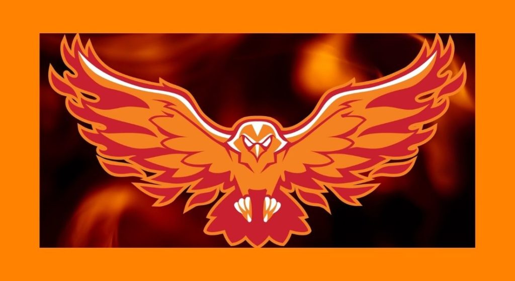 firehawk logo