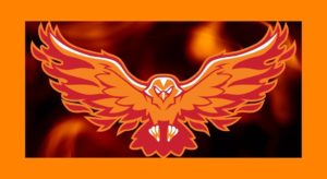 firehawk logo