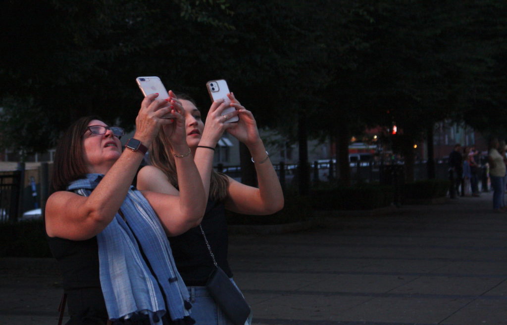 purple martins Nashville tourists