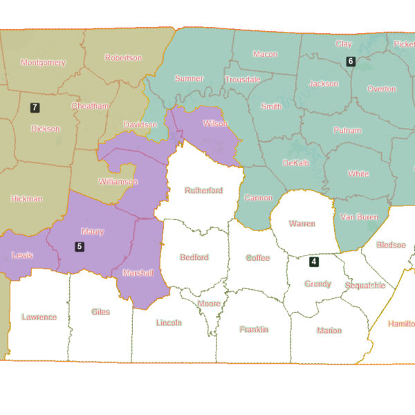 Davidson County Split 2022 Congressional Maps 600x600 