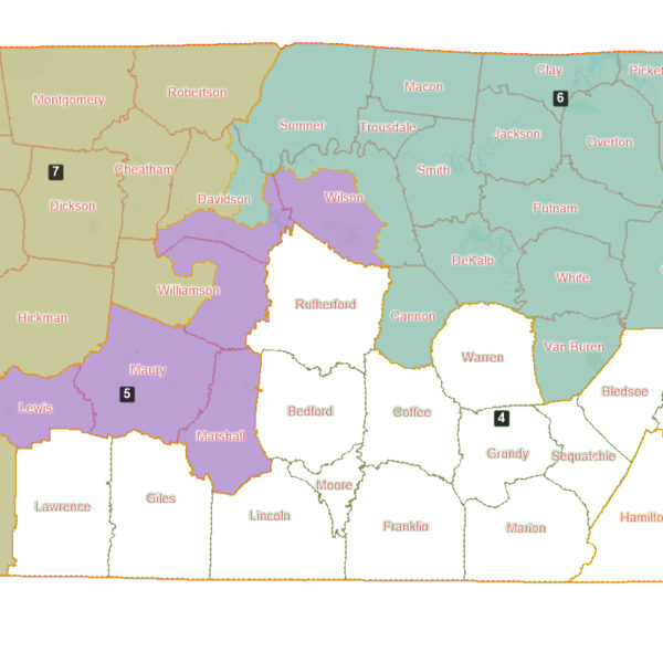 Tennessee 5th Congressional District Map Get Latest Map Update   Davidson County Split 2022 Congressional Maps 600x600 