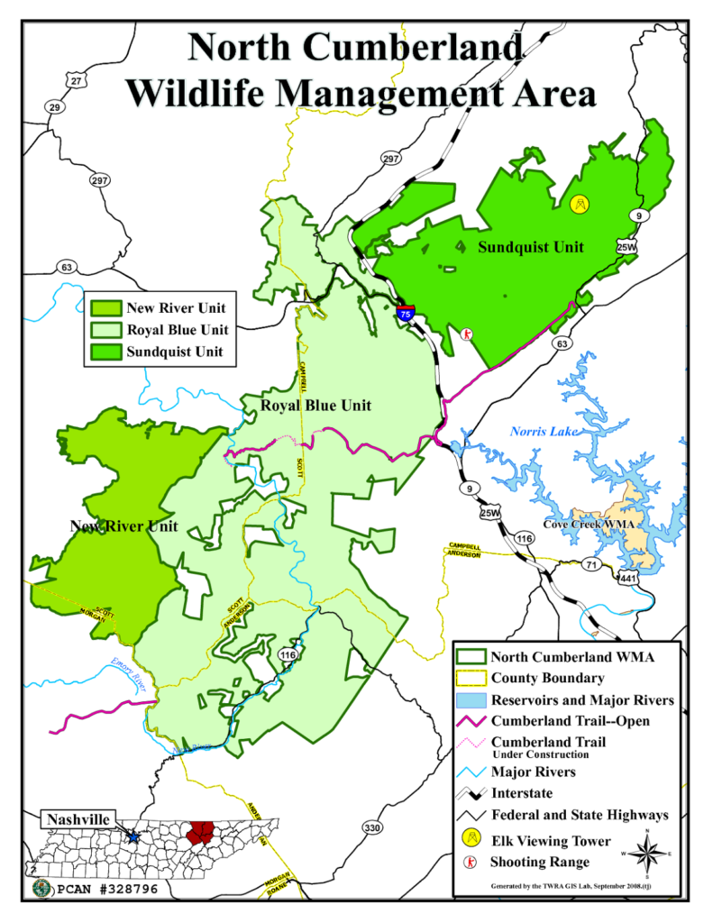 tennessee-to-protect-songbirds-elk-and-other-wildlife-habitat-in-state