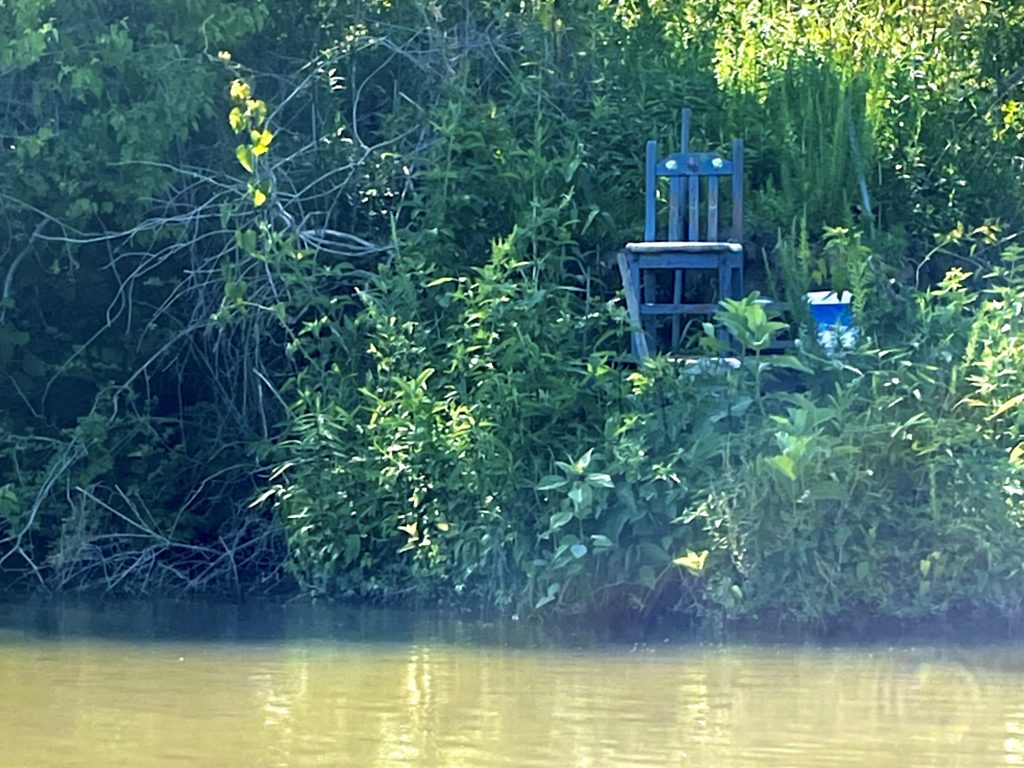 blue chair surrounded by wild greenery next to water