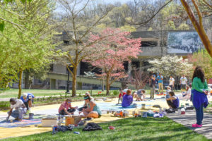 ETSU Pride Chalk Walk