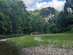 A view of the limestone bluff overlooking the Harpeth River.