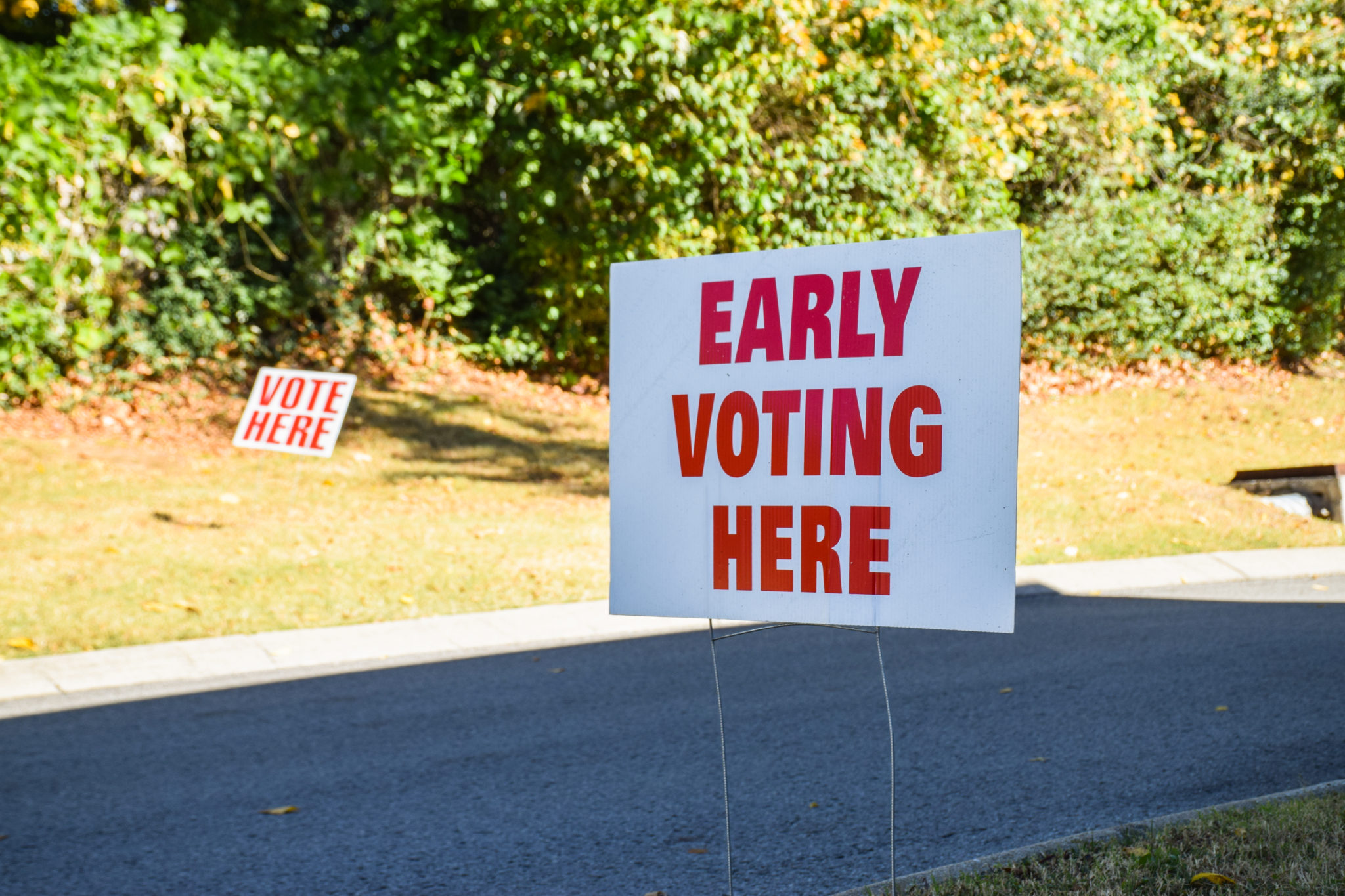 At the halfway mark of early voting, just 5 of Davidson County voters