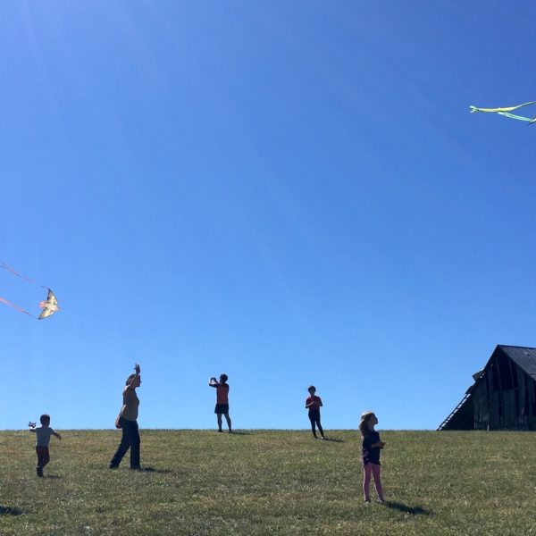 kite fest Mill Ridge Park