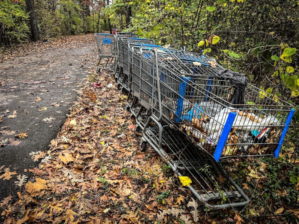 Brookmeade Park encampment