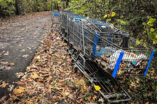 Brookmeade Park encampment