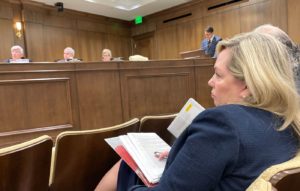 Tennessee legislative hearing