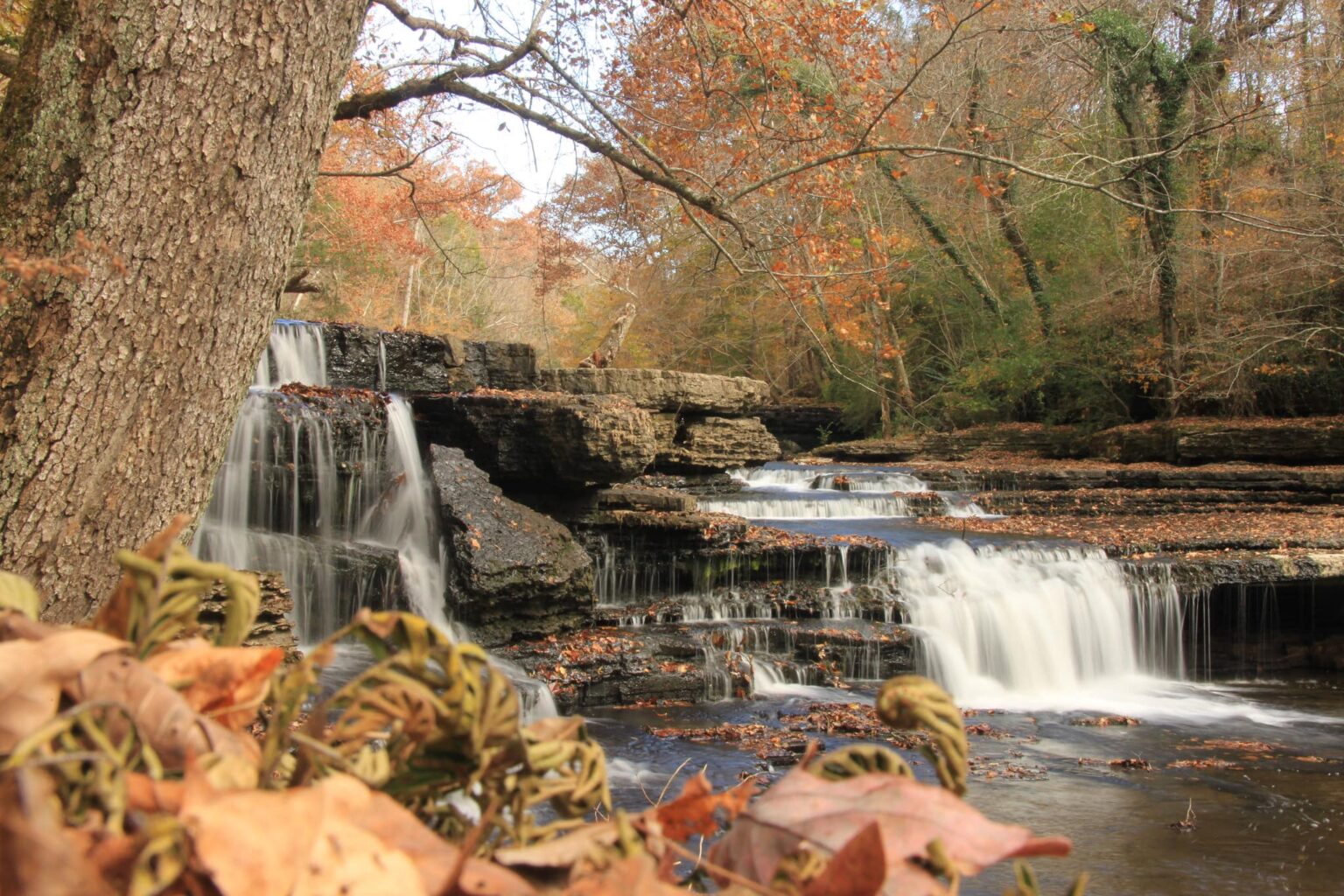 The Duck River is one of the most endangered rivers in U.S., report ...