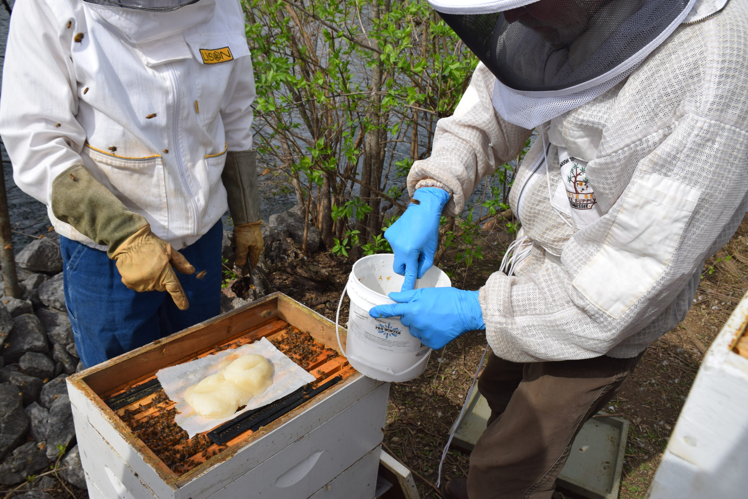 First-time beekeepers juggle insects and hive threats - News Nebraska