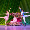 Nashville's Nutcracker (Dec. 2023)