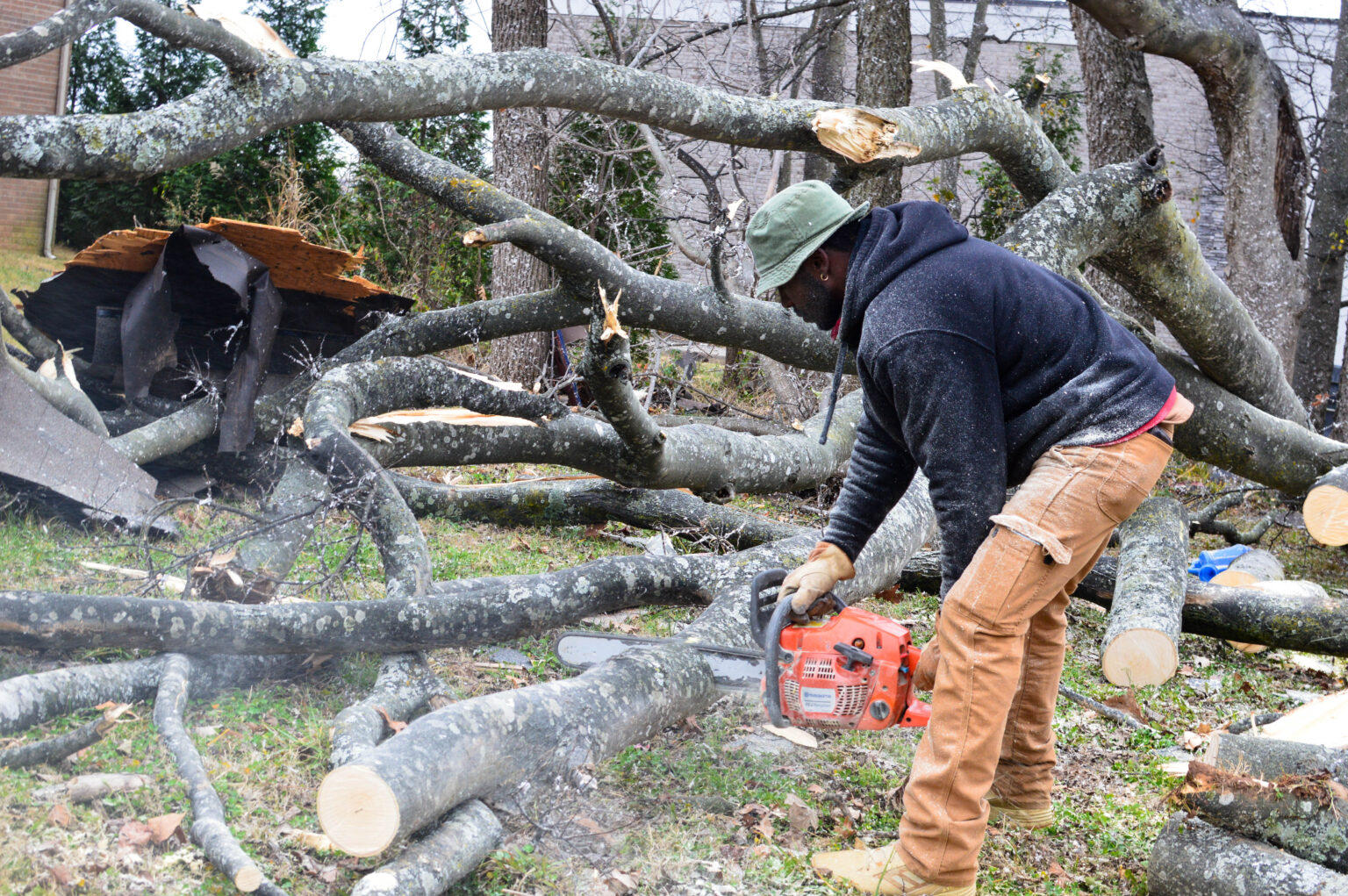 Tornadoes topple trees. What does that mean for forests? WPLN News