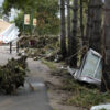 Uprooted trees and debris along a road left behind after flood waters receded