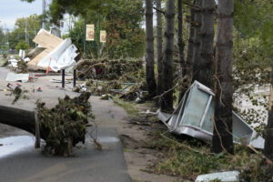 Uprooted trees and debris along a road left behind after flood waters receded