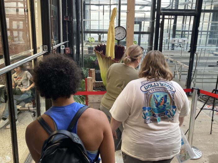corpse flower photo