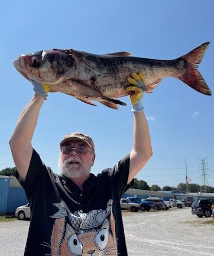 A man wearing a hat and glasses holds a fish above his head.