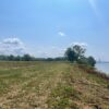 A field next to the river