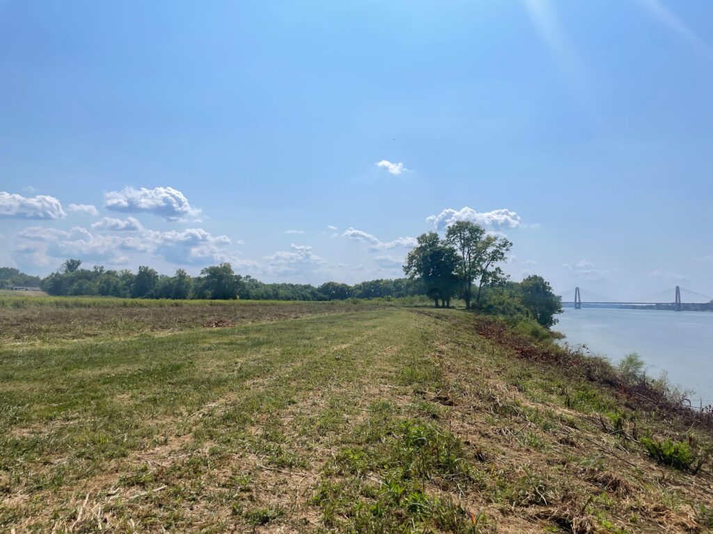 A field next to the river