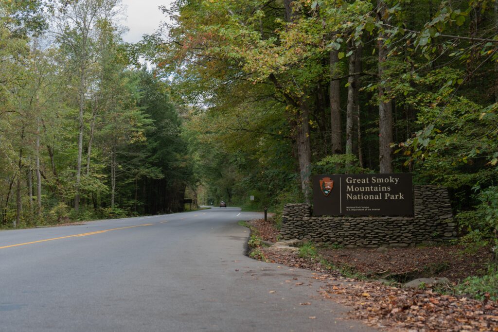 An entrance sign to Great Smoky Mountains National Park on a roadside surrounded by forest.