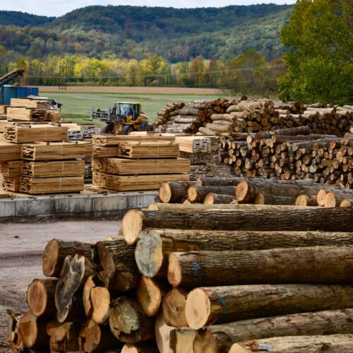 GreenTree Forest Products in Wallingford, Kentucky.