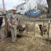 Robert and Emily Sory are starting an animal sanctuary at their home in Thompson Station, Tenn. In 2026, they plan to be uninsured. They’re looking for ways to pay for their care without coverage. Blake Farmer / WPLN News
