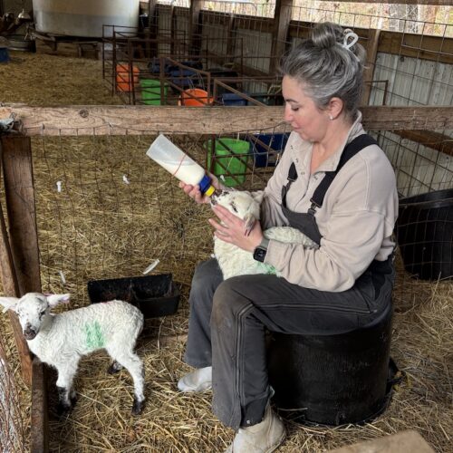 RaDonda Vaught feeding a baby lamb