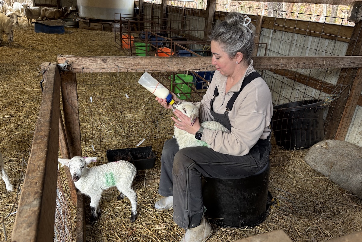 RaDonda Vaught feeding a baby lamb