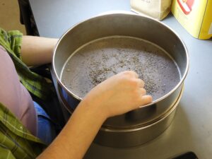 SGI volunteer cleaning chaff off native seeds