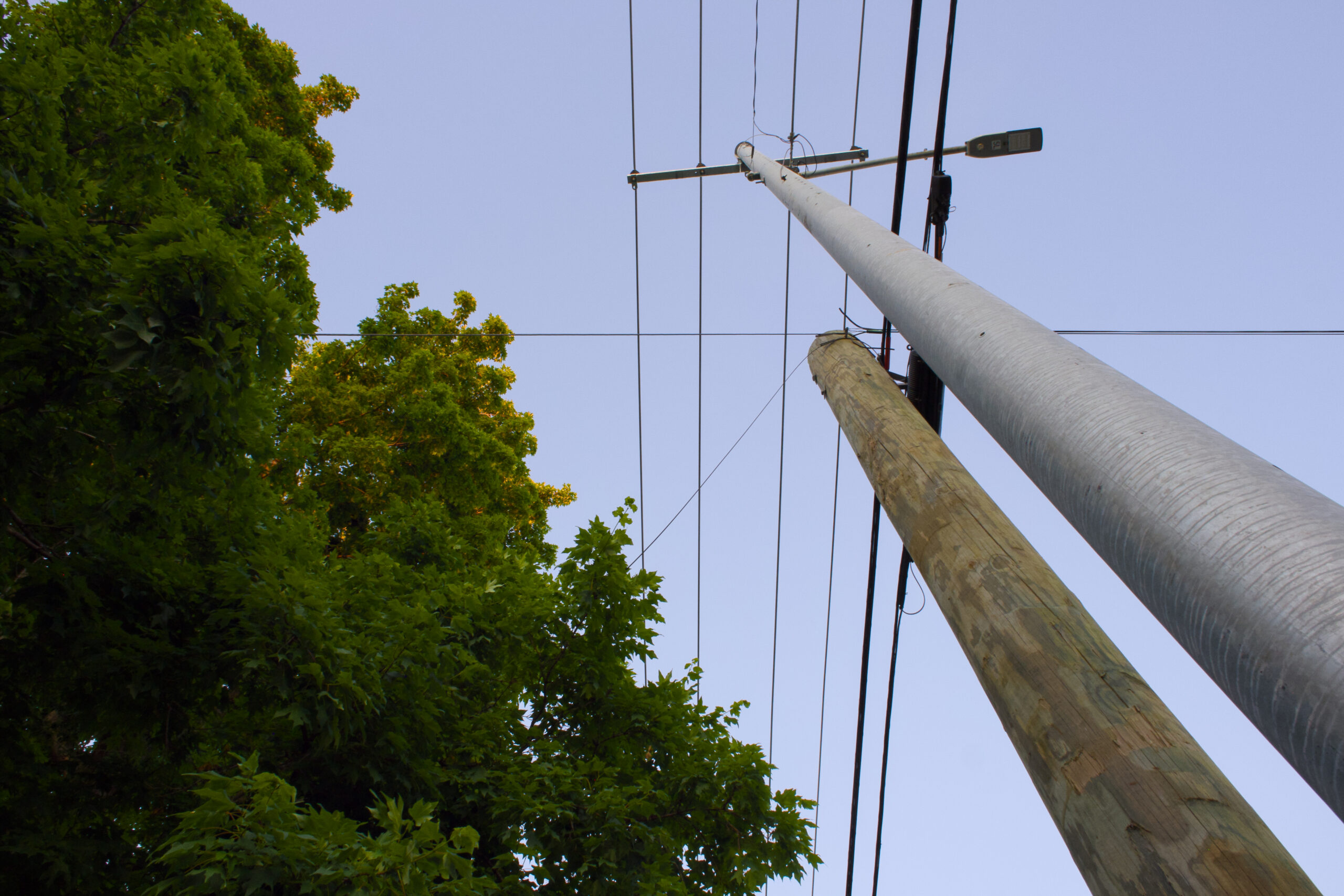 After cataclysmic tree loss, Nashville residents fear damage from new NES tree trimming policy