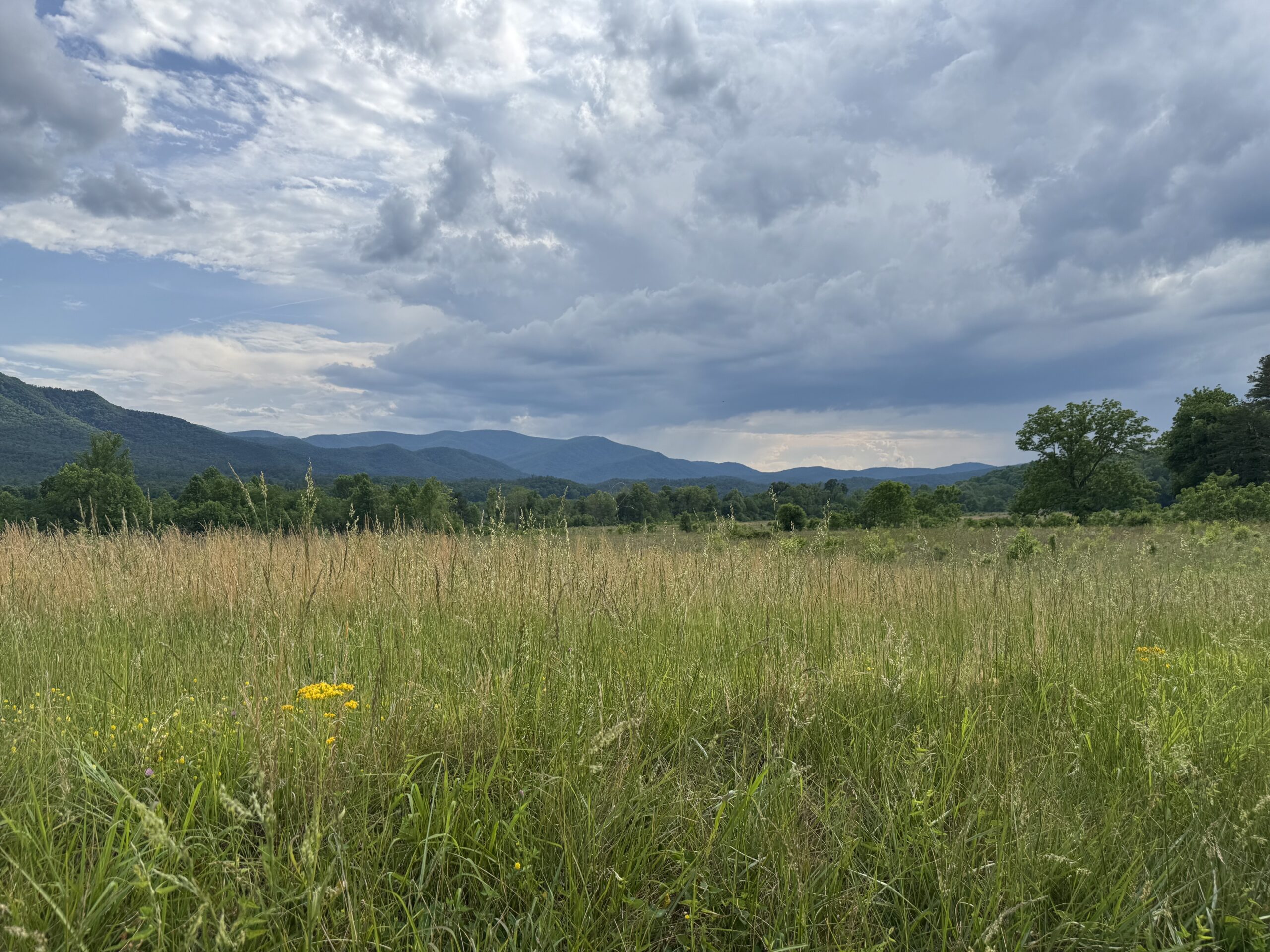 Where Tennessee’s long-term drought stands after recent rains