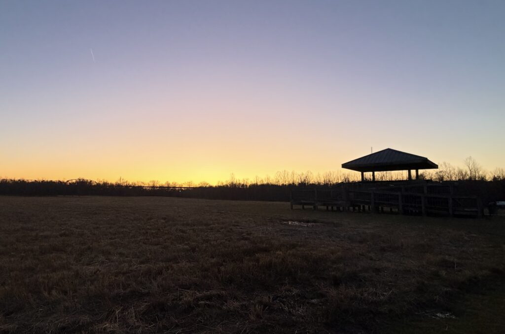 Shelby Bottoms park sunset