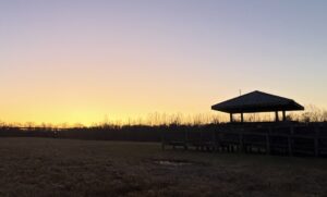 Shelby Bottoms park sunset