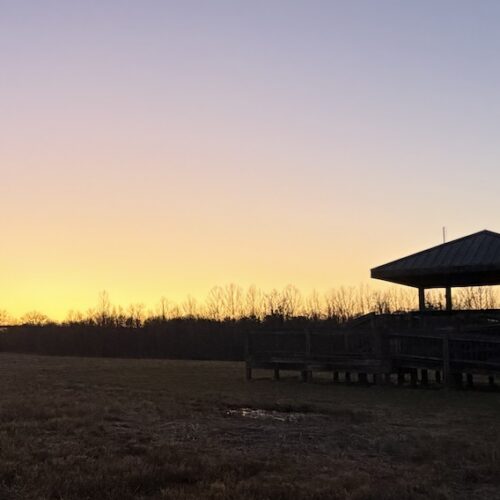 Shelby Bottoms park sunset