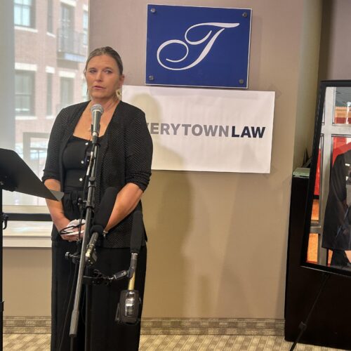 Laura Herp sued the online gun sellers who shipped a handgun to her 18-year-old son while he was in a mental health crisis.